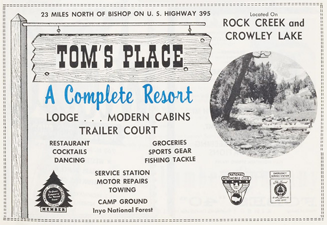 tom's place